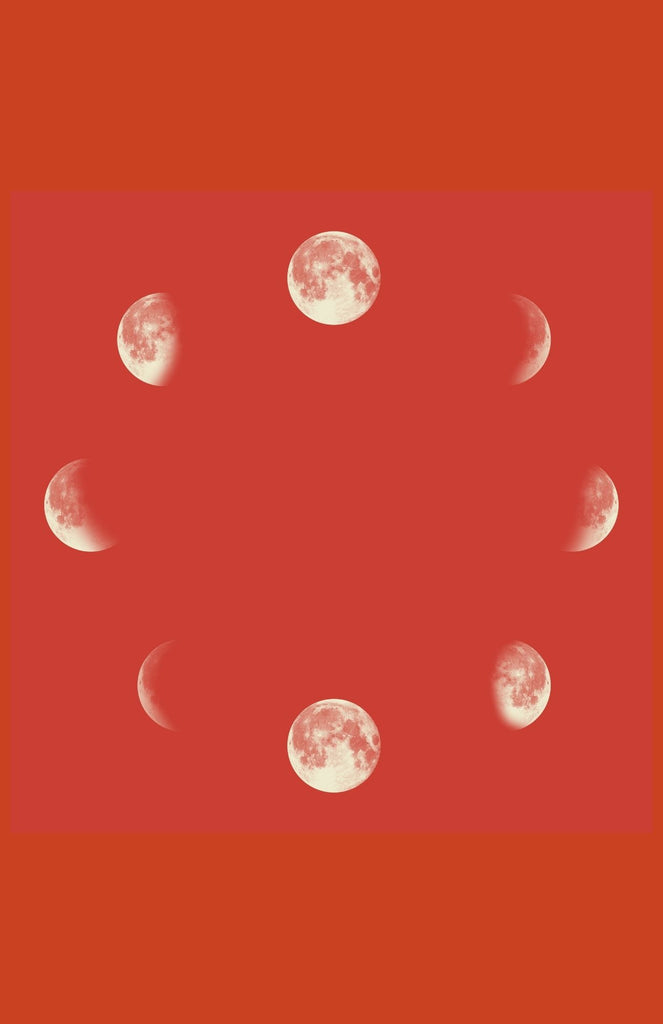6 Step New Moon Ritual
